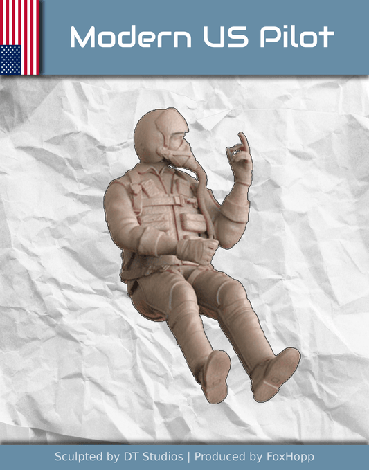 Modern US Pilot